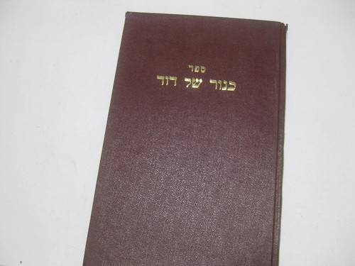 Hebrew kinor shel david - kinor, on